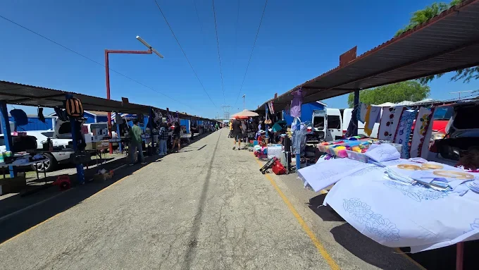 Shopping by interest and collecting focus