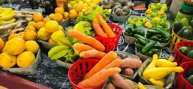 Vendor Categories & Featured Booths