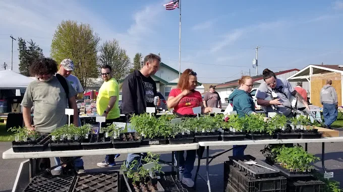 why wilmot flea market deserves your weekend visit