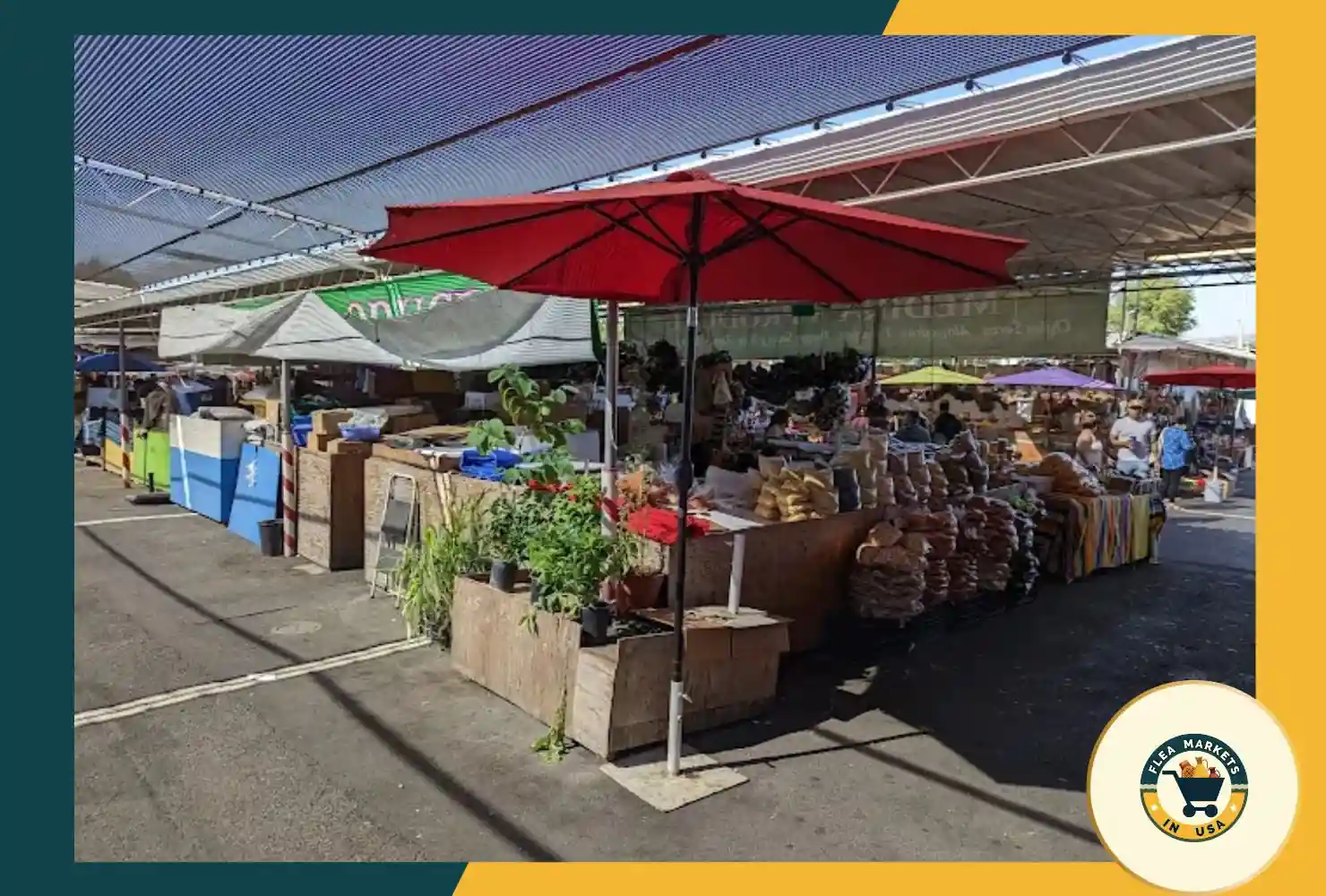 the san jose flea market