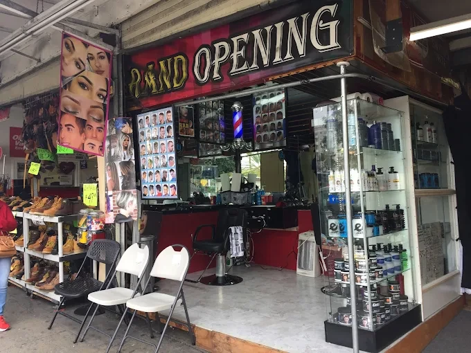 Entry fees & vendor information