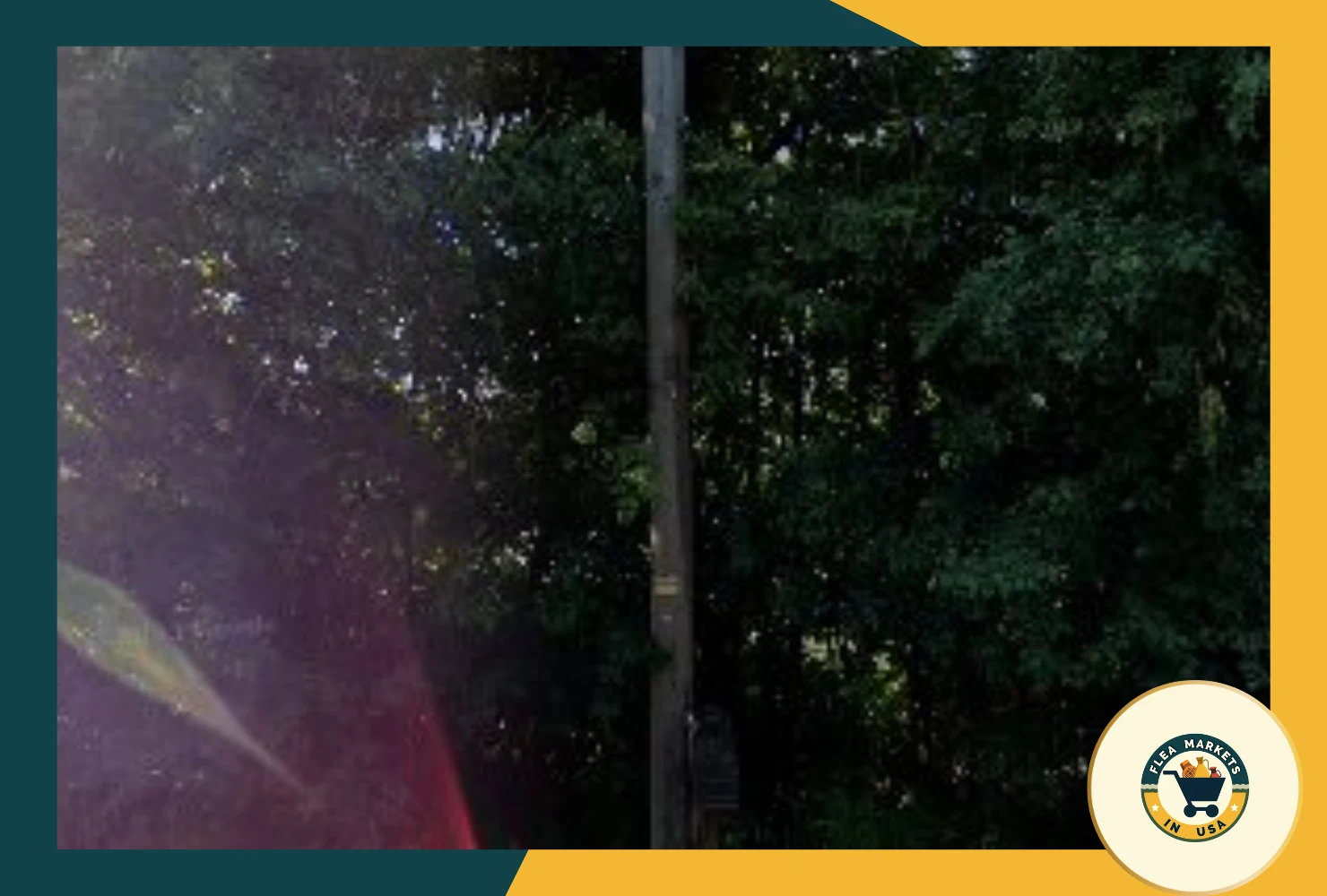 mattis market place llc