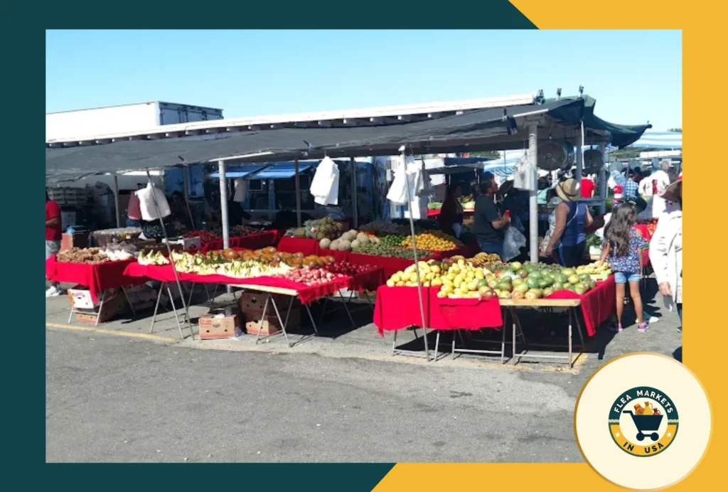 napa-vallejo flea market
