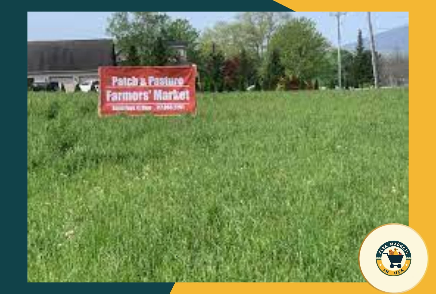 patch & pasture market