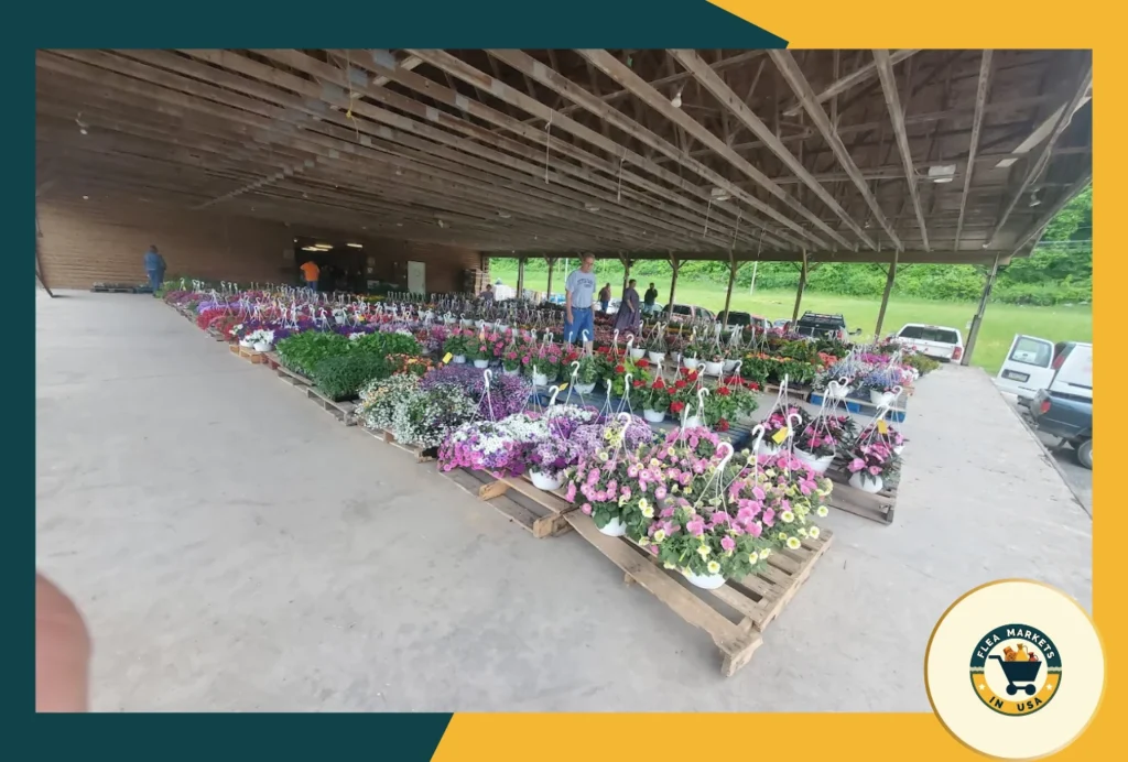 snyder county produce