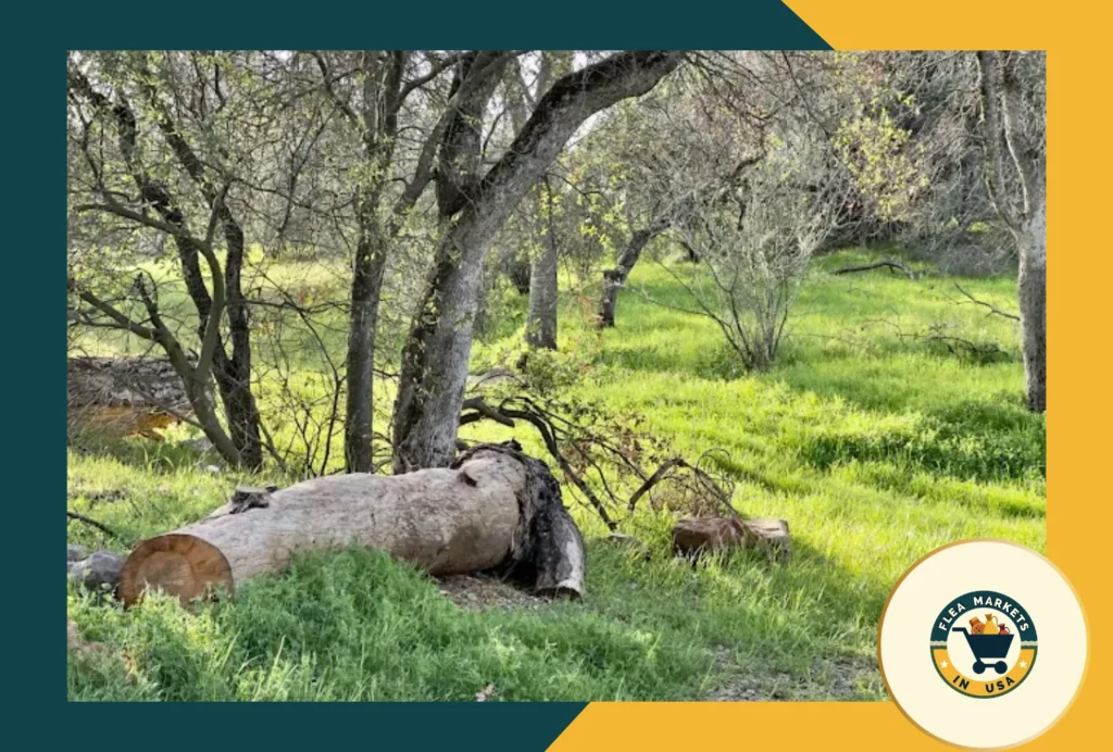 Spring Up In The Hills Market