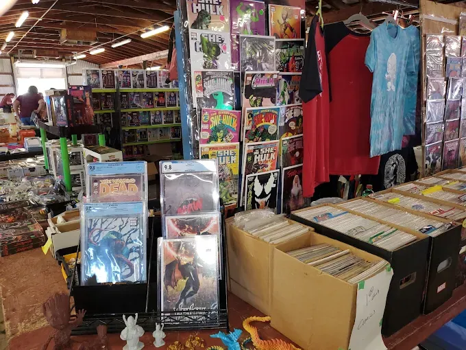a french 500 flea market the comic book store interior with colorful comics displayed on shelves and racks