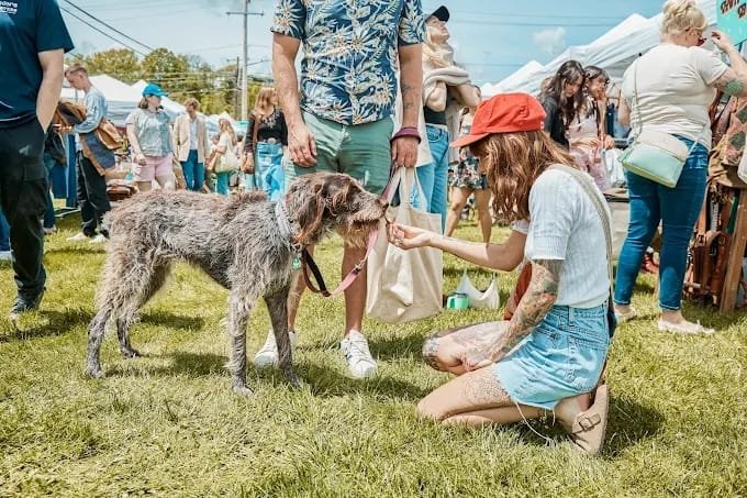 a woman in a red cap kneels to pet a large, wire-haired dog on the grass at the vintage roundup.