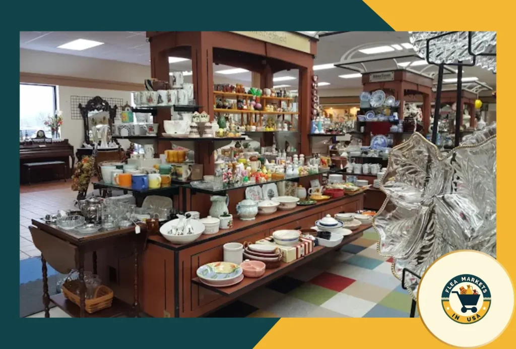 anything and everything inc.