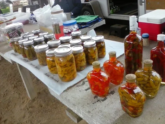 Food & dining options