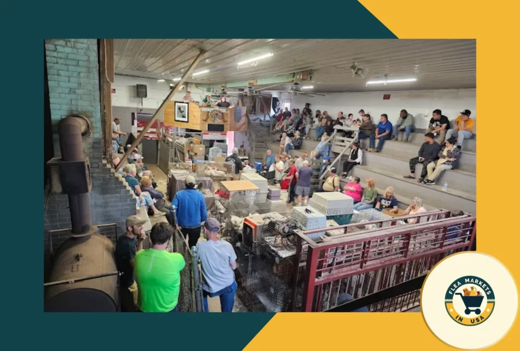 Gentner commission market
