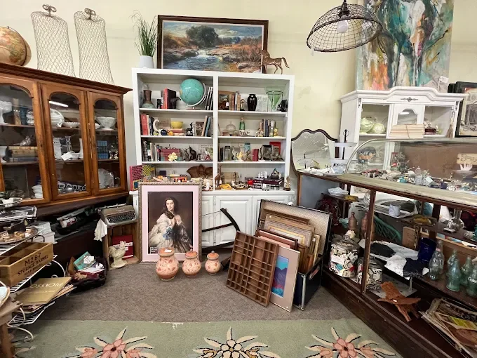 Collections and What You'll Discover