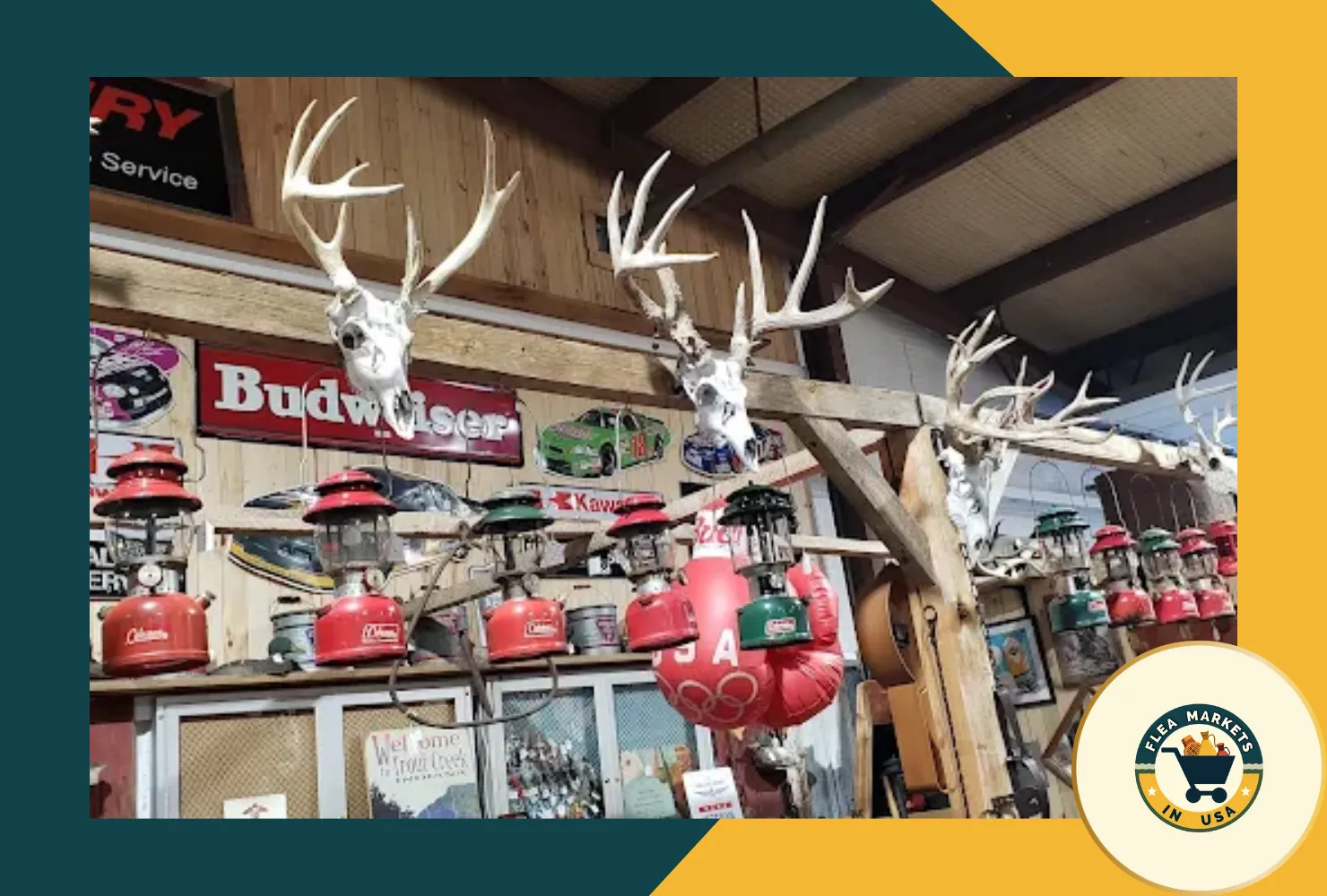 yoho's treasure market